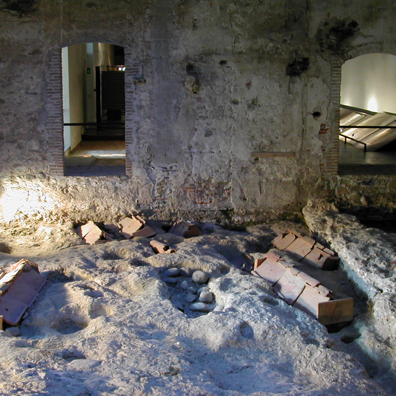 Eventi al Civico Museo Archeologico