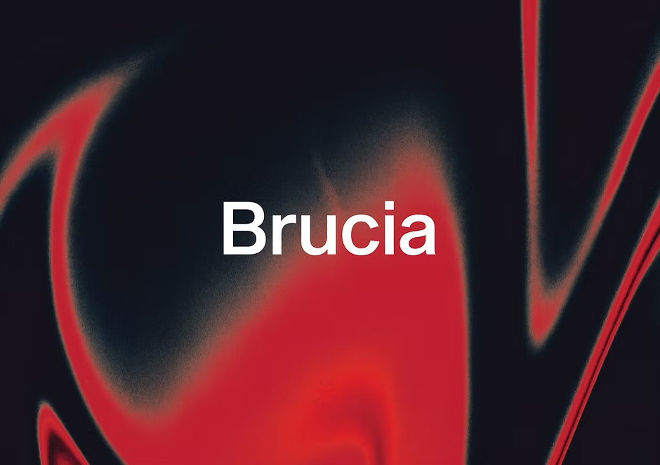 Brucia Festival