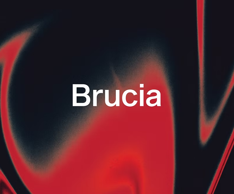 Brucia Festival